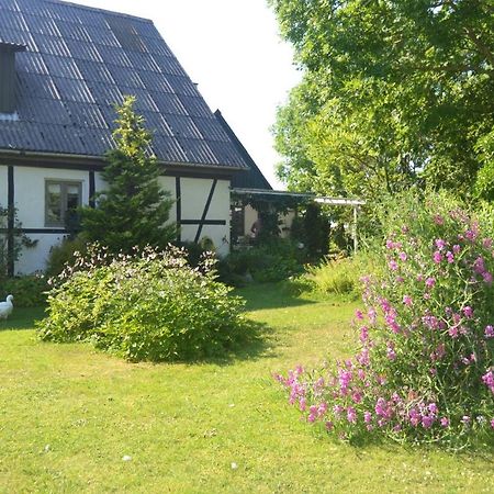 Byens Rareste B&B Harlev  Bagian luar foto