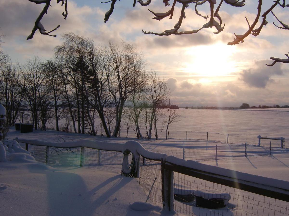 Byens Rareste B&B Harlev  Bagian luar foto