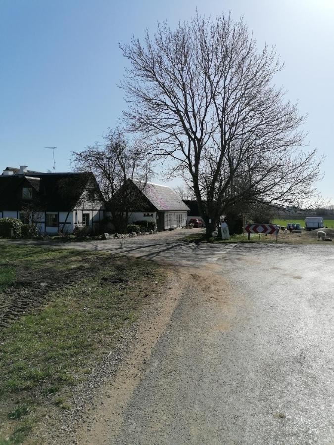 Byens Rareste B&B Harlev  Bagian luar foto