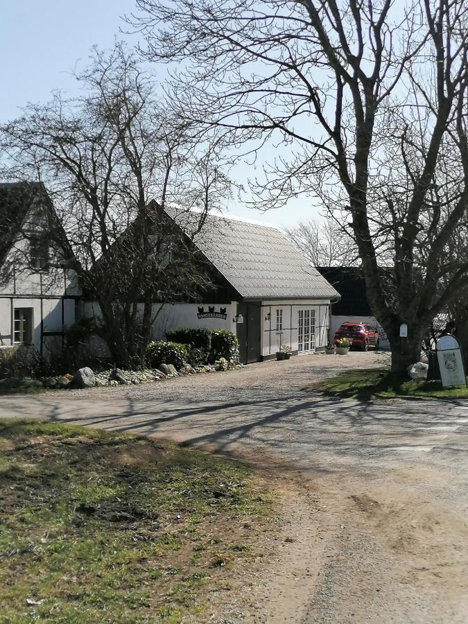 Byens Rareste B&B Harlev  Bagian luar foto